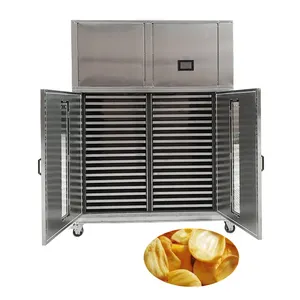 Amaç ısı pompası tepsi tipi endüstriyel dolap Jackfruit Mango eti hamuru kırmızı hünnap tarihleri kurutma makinesi