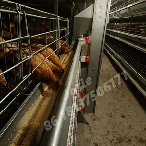 Cages pour poulets <span class=keywords><strong>de</strong></span> chair en forme <span class=keywords><strong>de</strong></span> H à trois couches élevages avicoles <span class=keywords><strong>de</strong></span> poules pondeuses Cadre en <span class=keywords><strong>cage</strong></span> <span class=keywords><strong>de</strong></span> <span class=keywords><strong>transport</strong></span> <span class=keywords><strong>de</strong></span> poulets Shougang - Product Image 4