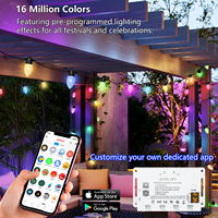 Guirlandes lumineuses LED de Noël d'extérieur RGBW DC24 36V IP65 étanches avec synchronisation musicale pour la décoration de patio et de jardin