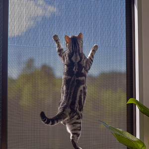 <span class=keywords><strong>Zanzariere</strong></span> Avvolgibili per Finestre in Acciaio Inox 304, Schermi Retrattili Anti-Insetti - Product Image 3