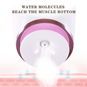 Dsp Facial <b>Steamer</b> White Electric Hydrating Home Use Beauty Device - Product Image 2