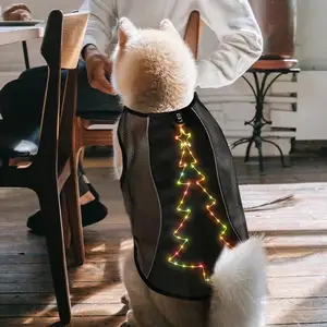 تصميم جديد أدى ضوء معطف الكلب حيوان أليف كبار الكبار الفراء الذهبي USB شحن حبل الكلب ضوء سترة للكلاب الكبيرة والمتوسطة والصغيرة