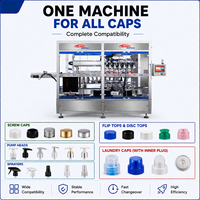 Machine de capsulage automatique monobloc CE à grande vitesse pour bouchons à clapet, bouchons papillon et bouchons twist-off pour bouteilles en plastique