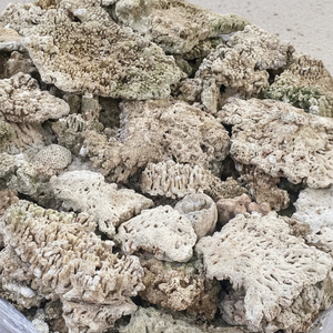 เวียดนาม, หินปะการังตกแต่งตู้ปลา, ผู้จำหน่ายหินปะการัง, ถังปลา - Product Image 1