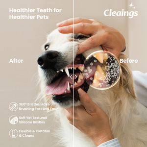 Cepillo de Dientes Desechable Suave para Mascotas, para Gatos y Perros, Limpieza Bucal en Casa con Cerdas de Silicona - Product Image 4