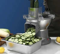 Elektrische multifunctionele fruit- en groentesnijder van roestvrij staal voor het raspen en snijden van aardappelen, uien en wortelen