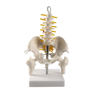 Abnehmbares kleines Becken mit Lenden gurt-Leichte Unterstützung für unteren Rücken und Becken - Product Image 3