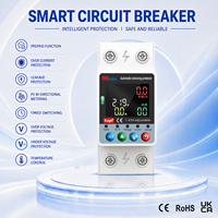 Disjoncteur intelligent WiFi Tuya RMshebei monophasé 220V 2P 63A avec télécommande et minuterie, compteur d'électricité monté sur rail