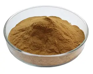 Bulk Price Food Additives Chia Seed Protein Wholesale Organic Chia Protein Manufacture Supply Chia Protein Powder For Healthy