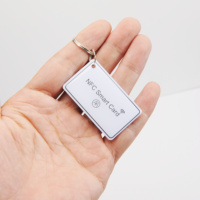 YTS personnalisé réinscriptible RFLD puce intelligente petit pendentif époxy porte-clés NFC carte époxy