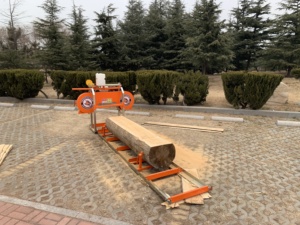 Scie <span class=keywords><strong>à</strong></span> ruban professionnelle de 18 pouces, scierie robuste <span class=keywords><strong>à</strong></span> essence, machine de découpe du <span class=keywords><strong>bois</strong></span>, moteur de sciage de <span class=keywords><strong>bois</strong></span> pour bricolage, <span class=keywords><strong>fendeuse</strong></span> de bûches - Product Image 5