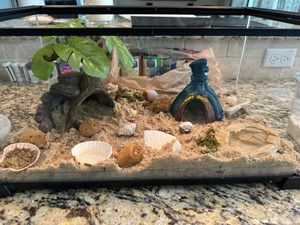 Transparent Hamster Verre Maison Terrarium 1 Pièce <span class=keywords><strong>Pas</strong></span> <span class=keywords><strong>Cher</strong></span> Grandes Cages Gigantesque Pour <span class=keywords><strong>Grande</strong></span> <span class=keywords><strong>Lapin</strong></span> Hutch Grand Hamster <span class=keywords><strong>Cage</strong></span> - Product Image 5