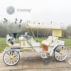 Caiteng Marathon <span class=keywords><strong>Sulky</strong></span>, chariot à 4 roues pour poney, charrette de luxe royale, carrosse de mariage Cendrillon, chariot électrique de tourisme Victoria, 6 places - Product Image 4