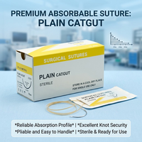 Fil de Catgut Naturel Biocompatible et Absorbable – Qualité Export en Gros