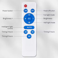 Lampe LED d'extérieur de bonne qualité 100 watts Réflecteur RVB Projecteur solaire Option différente