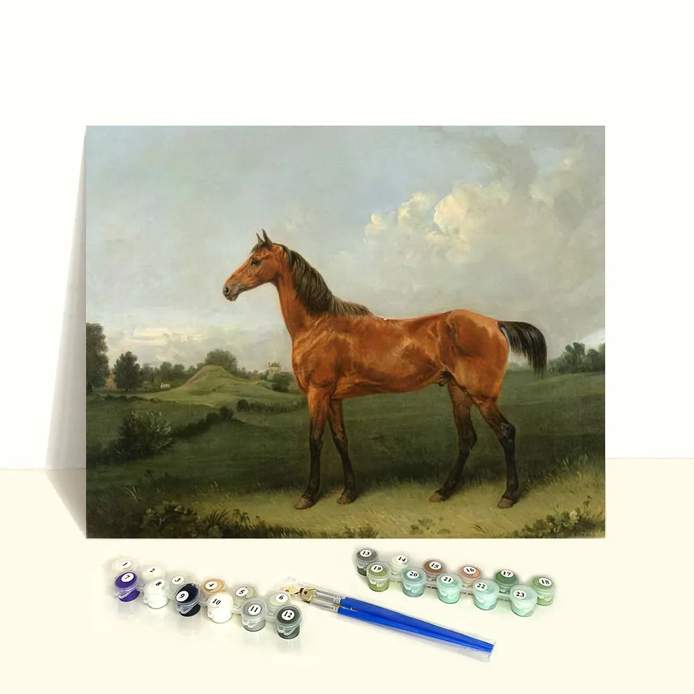 Оптовая продажа, Веселый Набор для творчества, красочное изображение лошади, растягивающаяся картина по номерам для начинающих