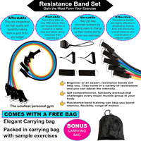 Set de 11 Bandas de Resistencia de TPE con Asas, Anclaje para Puerta y Correas para Tobillos, Kit de Entrenamiento de Cuerpo Completo para Gimnasio en Casa, Logotipo Personalizado