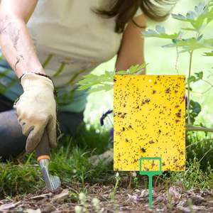 لوحة لاصقة صفراء مزدوجة الجوانب لصيد البراغيث والبعوض والحشرات، ملصق لاصق للتحكم في الآفات في المنزل والدفيئة - Product Image 5