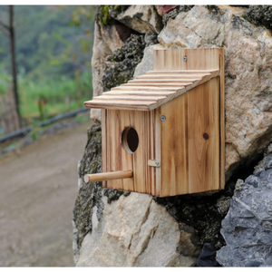 Casas <span class=keywords><strong>de</strong></span> pájaros <span class=keywords><strong>de</strong></span> madera <span class=keywords><strong>para</strong></span> exterior con poste Casa <span class=keywords><strong>de</strong></span> pájaros <span class=keywords><strong>de</strong></span> madera <span class=keywords><strong>para</strong></span> Pinzón Bluebird Cardinals Casa <span class=keywords><strong>de</strong></span> pájaros colgante Jardín <span class=keywords><strong>de</strong></span> liquidación - Product Image 3