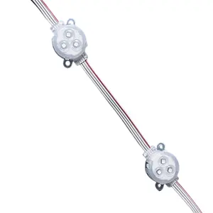 Đèn Sứa DC 12V <span class=keywords><strong>Pixel</strong></span> Led Cảnh Quan Kỳ Nghỉ Đèn Điểm Giáng Sinh Vĩnh Viễn Ws2811 Ucs2904 - Product Image 1