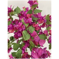 Bougainvilliers artificiels suspendus multicolores pour décoration intérieure, résistants à l'eau et aux UV, écologiques, très demandés
