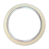 Joint spiralé ASME B16.20 SS316 rempli de graphite, type de base, joint métallique pour bride, pétrochimie