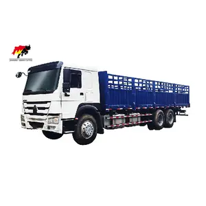 Howo 6x4 PS Sinotruk Howo Cargo Truck Kamera 10 11 CE Einzel handbuch Betrieb Zaun Sino Truck Cargo Car Für Äthiopien