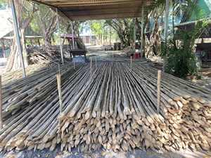 Cannes en bambou personnalisées | Usine directe du Vietnam | Traité pour une utilisation en pépinière - Product Image 2