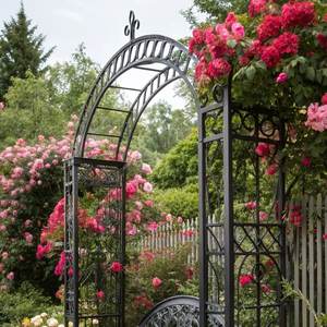 Système d'arche <span class=keywords><strong>de</strong></span> jardin et <span class=keywords><strong>de</strong></span> pergola en fer, revêtement en poudre, imperméable, avec écran et filet métallique <span class=keywords><strong>de</strong></span> protection en option - Product Image 1