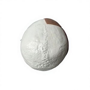 Modèle de crâne <span class=keywords><strong>humain</strong></span> avec muscles faciaux, moitié musculaire, moitié <span class=keywords><strong>squelette</strong></span>, modèle anatomique pour l'enseignement médical, marque Huichun, fabriqué en Chine - Product Image 4
