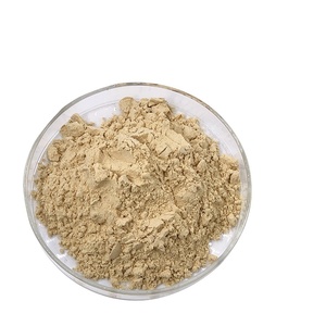 HONGDA-extracto de raíz de Ginseng Panax, polvo Rg3 8% 20%, venta al por mayor - Product Image 1
