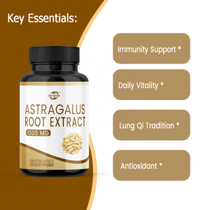 Cápsulas de Polvo de Raíz de Astrágalo Haccp OEM ODM, Suplemento Dietético de Extracto Herbal Sin Gluten para el Apoyo Diario al Bienestar - Product Image 2