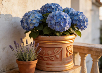 Pot de fleurs en terre cuite fait main pour l'extérieur, patio, cour, décoration pour citronnier ou plantes à fleurs