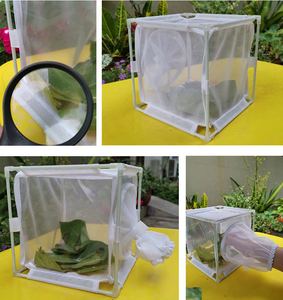 Nouveauté : cages d'incubation et d'élevage d'insectes de petite taille à mailles fines pour mantises, moustiques, mouches, abeilles, libellules, cigales, coléoptères - Product Image 2