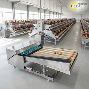 Clasificadora de Huevos Compacta Industrial de Acero Inoxidable, 2000 Huevos por Hora, Tipo Péndulo con Clasificación Automática - Product Image 4