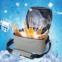 Sac isotherme pour canette de bière 30L, thermique et portable, isolation en TPU, boîte à lunch de pique-nique à emporter, sac avec poignée supérieure