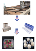 Extrusora de Láminas Decorativas de Plástico PETG para Termoformado con Bomba, Motor y Engranaje, Máquina Automática para Fabricación de Láminas PETG