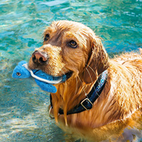 Jouet à mâcher en peluche pour chien flottant d'été chaud avec requin et conception d'animal de mer sûr et amusant pour les jeux d'eau