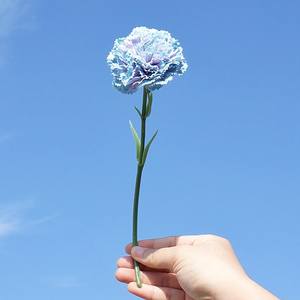 ผ้าไหมประดิษฐ์ทำมือลายหมึกสาขาเดียวขนาดเล็ก SN-AF149ดอกไม้ประดิษฐ์ที่เป็นมิตรต่อสิ่งแวดล้อมบ้านโรงแรมมอลล์ตกแต่งงานแต่งงาน - Product Image 2