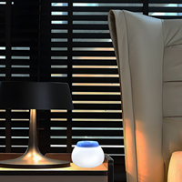 Humidificateur d'air chaud à vapeur pour intérieur, augmente l'humidité de l'air, lumière de nuit LED chaude, humidificateur pour la maison, pour le sommeil