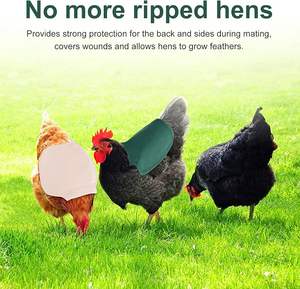 Beckon Custom Sangle de protection dorsale pour poules, protège-plumes extérieur pour volailles, accessoires - Product Image 3