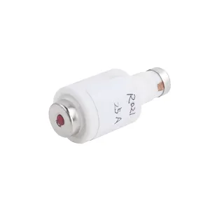 ZHENGRONG Manufacturing Custom Hot Sale Ceramic R021 Fuse Holder 25A Screw Type Fuse Links