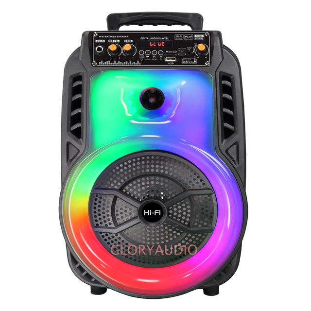 8-Inch Portable Wireless RGB LED USB TWS Microphone Speaker Multifunctional Outdoor Bass Battery-Powered Plastic Handle Parties