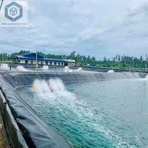 Malezya'da balık havuzları için karides çiftlik özel gölet gömlekleri için 0.3mm 0.5mm HDPE geomembran gölet Liner