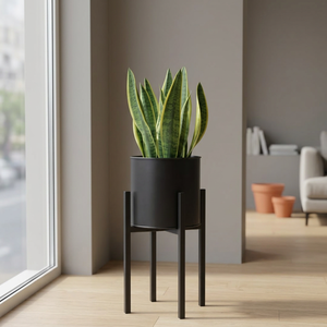 Support de plantes en métal pour sol avec bac à plantes pour salon, chambre, intérieur, extérieur, présentoir de fleurs, décoration moderne en métal - Product Image 4