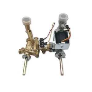 Home Appliance Force Type Flue Type L6 Gas Water Heater Parts Gas Water Heater Valve