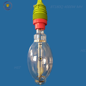 HST 2000W E40 Sockel Metalldampflampe Ra80 11000 Stunden für Marine- & Fischerboot-Beleuchtung in Cyan-Grüner Farbe - Product Image 4