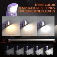 Mini Lámpara LED Recargable por USB, Brillo Ajustable, Regulable, Perfecta como Marcador de Libros, Luz de Lectura para la Habitación de Lectura