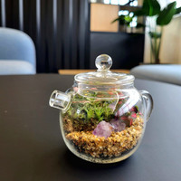 Jardinière de terrarium en verre transparent de forme moderne théière adaptée aux bonsaïs couverture de dôme en verre coloré décor à la maison pour jardin succulent