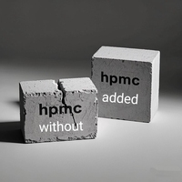 Hydroxypropylméthylcellulose HPMC 200000 Mpa Tylose Ginshicel Barucell Methocel Nitrosol Ether Shandong Pureté 99% Peinture